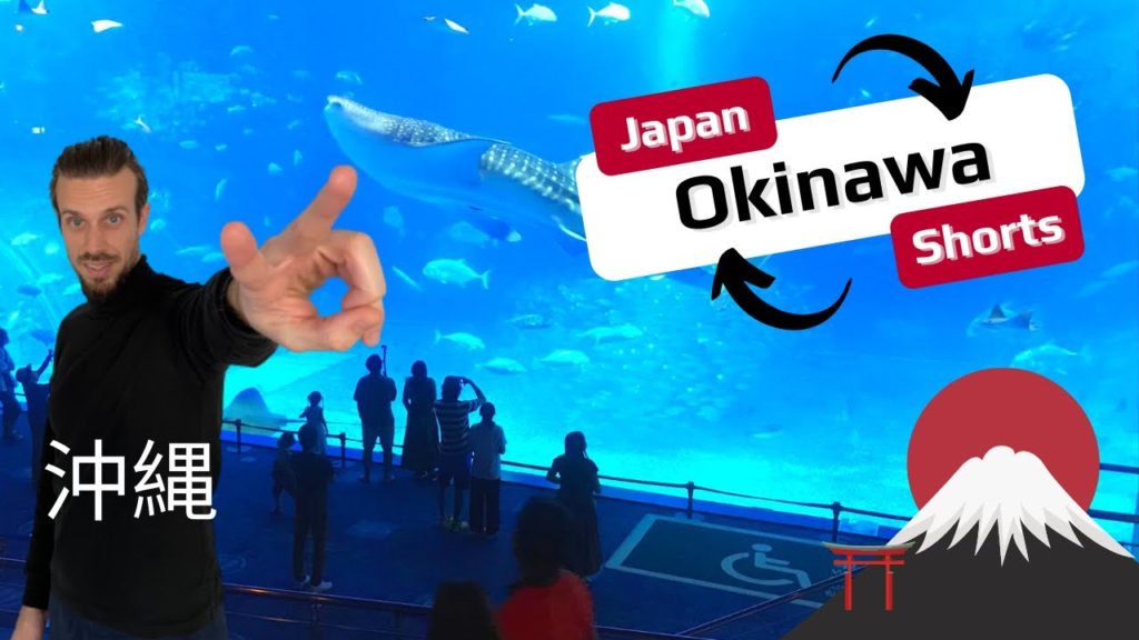 Wow I’ve never seen such a big fish! 🤩 very impressive #shorts #fish #japan Wow I’ve never seen such a big fish! 🤩 very impressive #shorts #fish #japan
