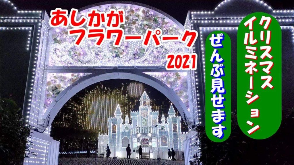 【足利フラワーパーク　イルミネーション 2021 】光の花の庭　ぜんぶ見せます