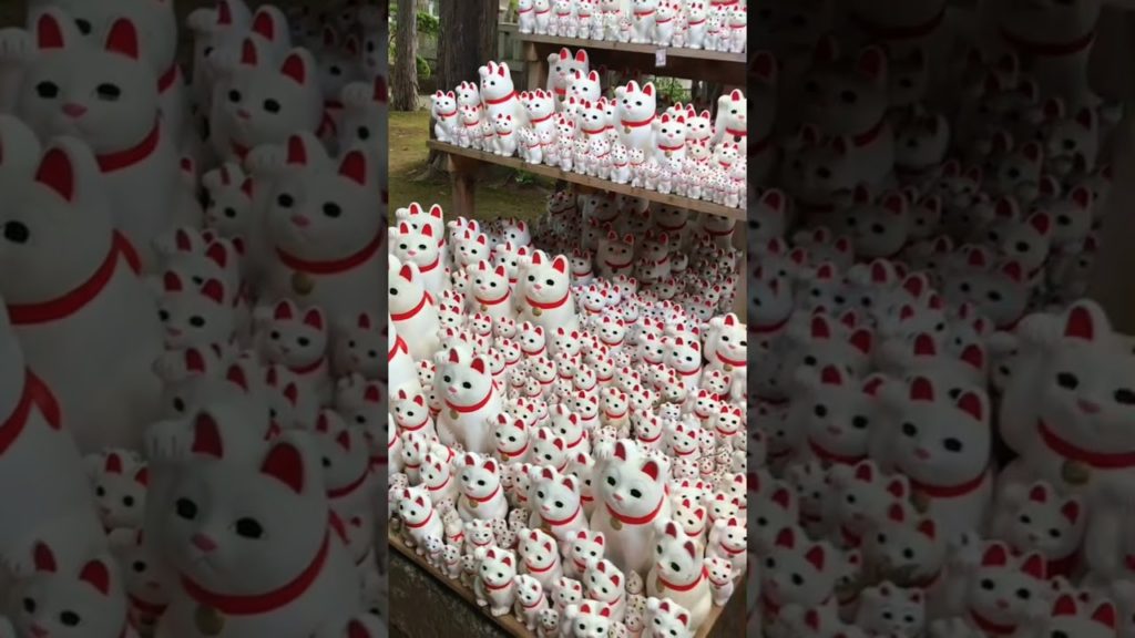 Gotokuji Temple 護国寺 Tokyo #護国寺 #tokyotemple #luckycat #gotokujitemple #shorts #temple