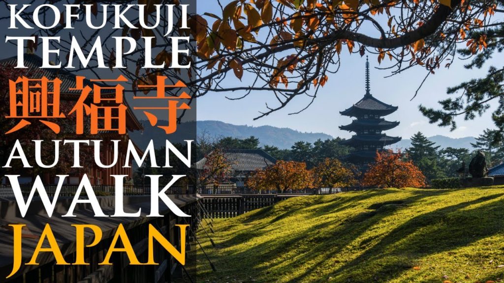 [4K] Relaxing Morning Walk in Nara Japan | Japanese Autumn Colors | Walking Tour