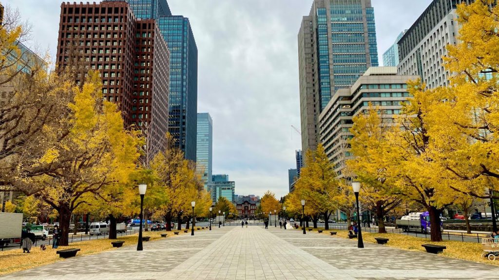 [Tokyo Autumn Cycling Tour 2020] | 4K Ultra HD Bike POV with Trek