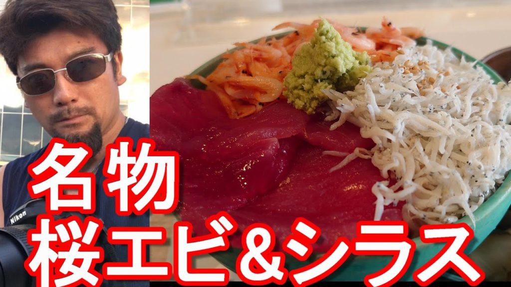 【高速道路SAグルメ】静岡県沼津市/新東名高速道路-駿河湾沼津SAにて「おさかな丼屋 とと丸食堂」で海鮮丼(桜エビ、シラス、マグロ)堪能Seafood lunch in Numazu-SA,Japan 【高速道路SAグルメ】静岡県沼津市/新東名高速道路-駿河湾沼津SAにて「おさかな丼屋 とと丸食堂」で海鮮丼(桜エビ、シラス、マグロ)堪能Seafood lunch in Numazu-SA,Japan