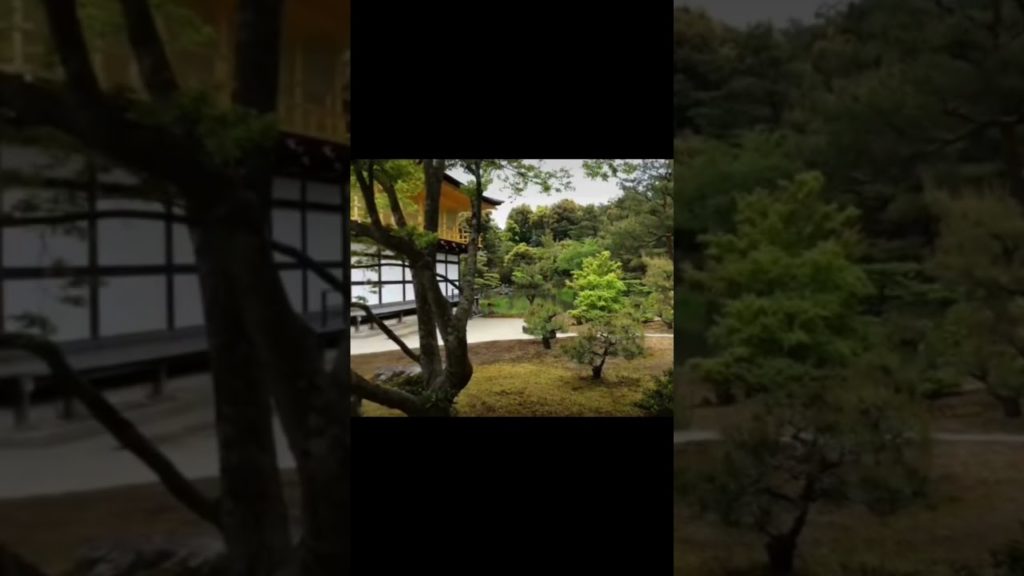 Japanese Temple [Kinkaku-ji] (TikTok) #japan #japanese #travel #travelvlog #temple #traveling