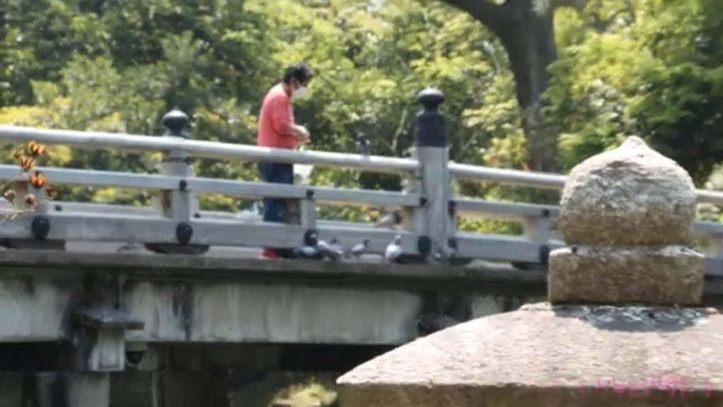 kyoto| japan | trip to imperial place around