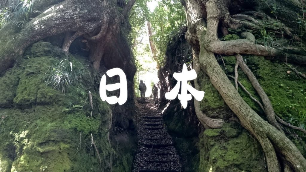 Japan Travel Film - Oshima / Tokyo