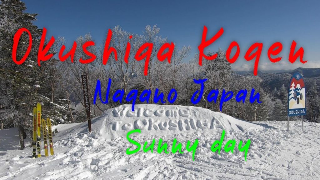 Okushiga Kogen Ski Resort at sunny day – 奥 志賀高原 スキー場 Okushiga Kogen Ski Resort at sunny day - 奥 志賀高原 スキー場