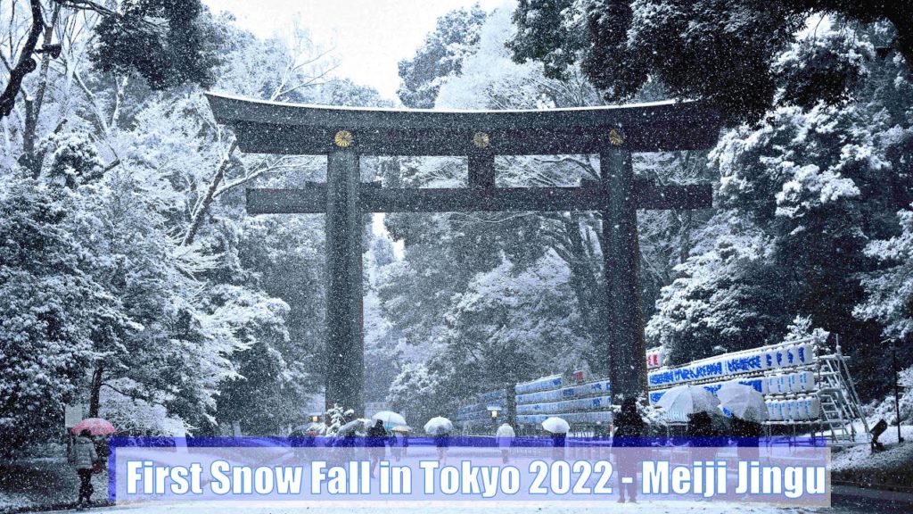 First Snow at Tokyo 2022 – Meiji Jingu | #meijijingu | #明治神宮 | #snowytokyo First Snow at Tokyo 2022 - Meiji Jingu | #meijijingu | #明治神宮 | #snowytokyo