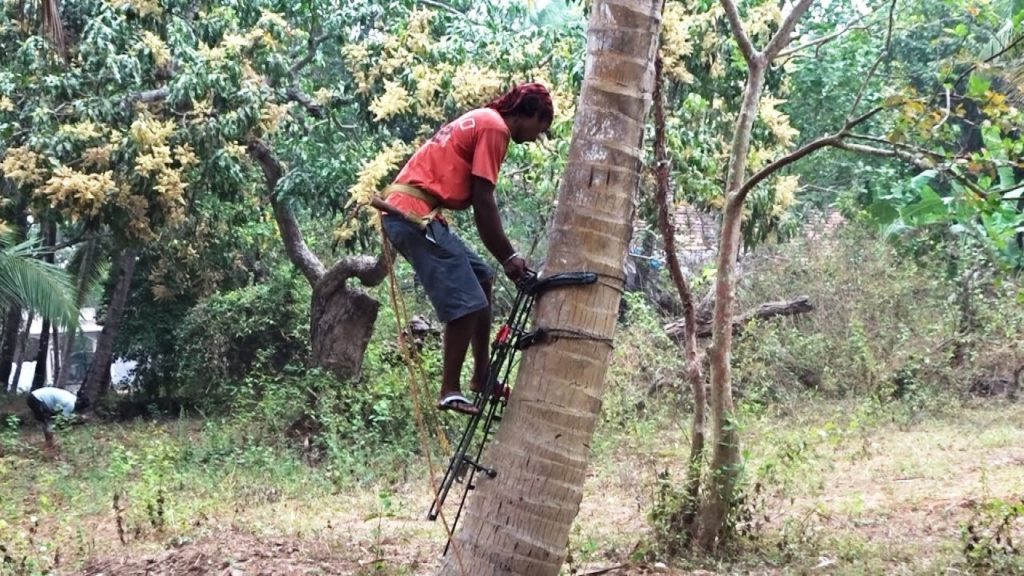 Coconut Tree Climbing Machine Coconut Tree Climbing Machine