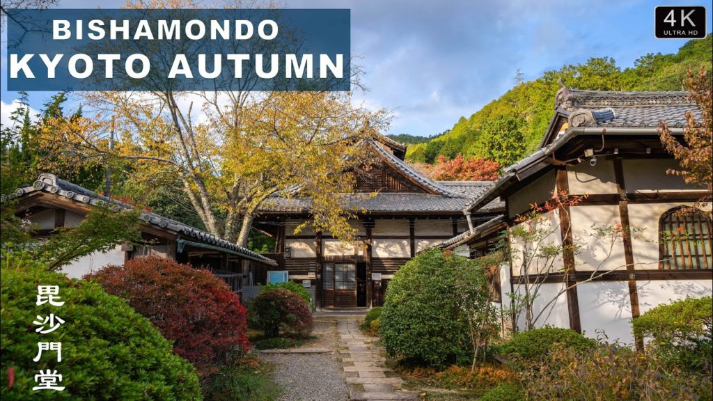 Kyoto Maple Travel丨Maple Leaf is very famous place丨Ancient temple with a history of 1,000 years【4K】 Kyoto Maple Travel丨Maple Leaf is very famous place丨Ancient temple with a history of 1,000 years【4K】