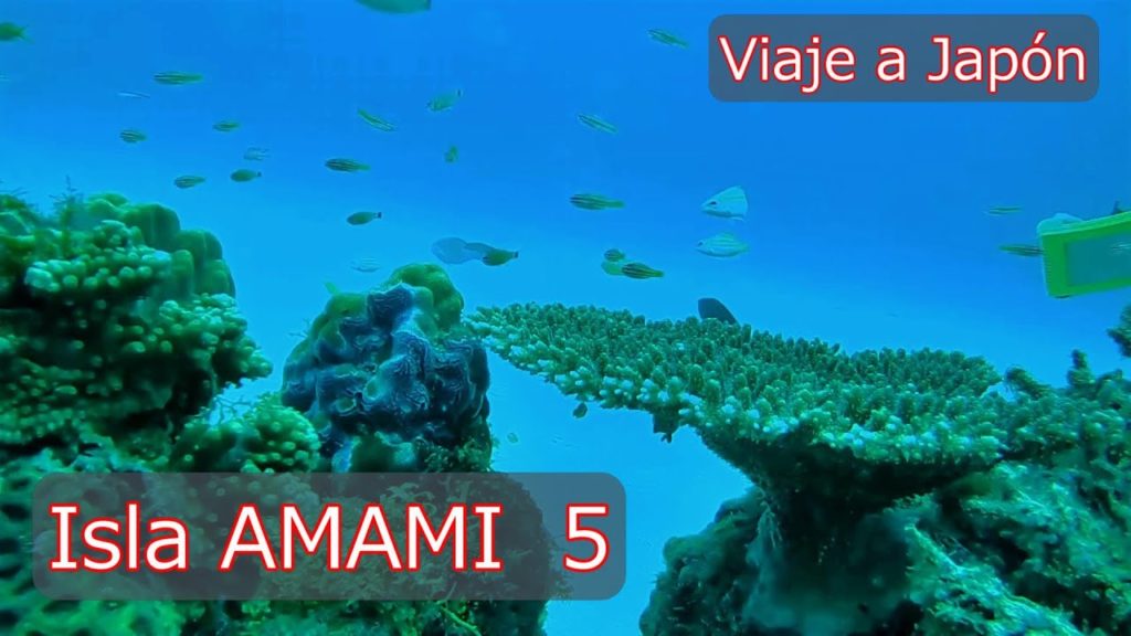 Diario de viaje Isla Amami parte５ [Kagoshima, Japón]
