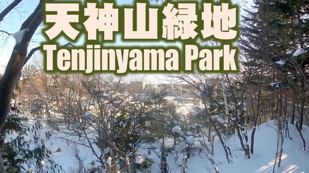 冬の天神山緑地　I took a walk in the snow-covered Tenjinyama Park.