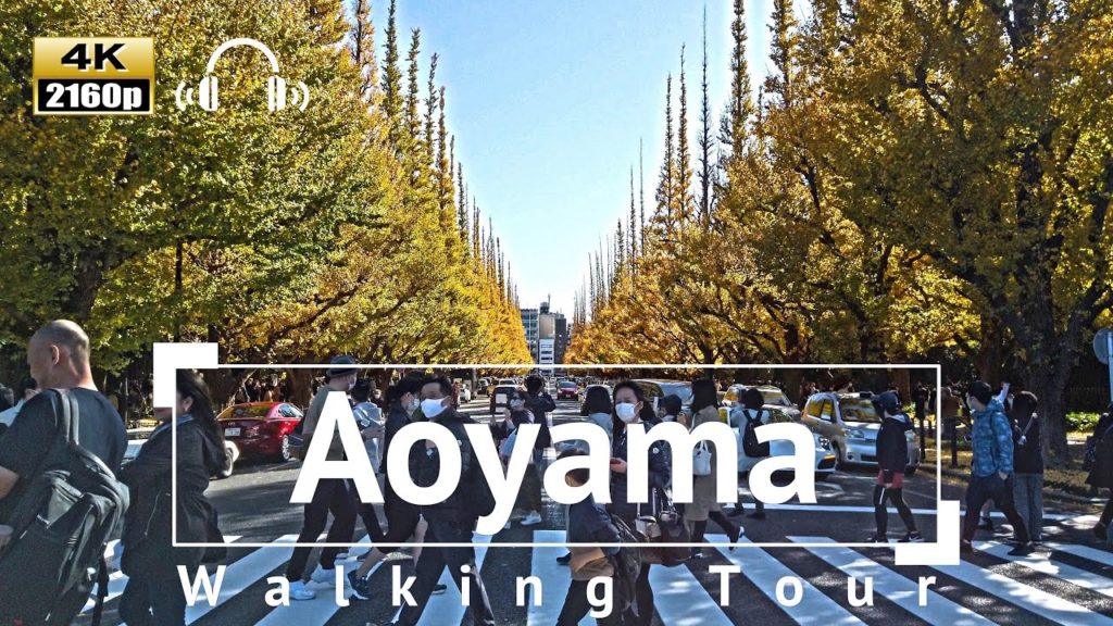 [4K/Binaural Audio] Aoyama Walking Tour through Ginkgo Avenue - Tokyo Japan