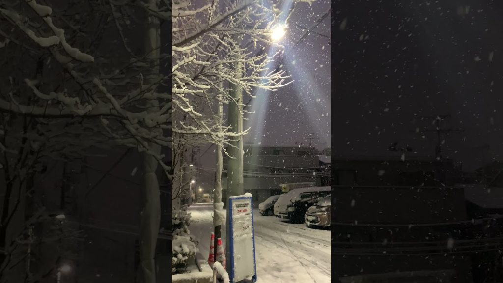 🇯🇵 Snowfall in Tokyo, Japan ❄️☃️ #shorts 🇯🇵 Snowfall in Tokyo, Japan ❄️☃️ #shorts