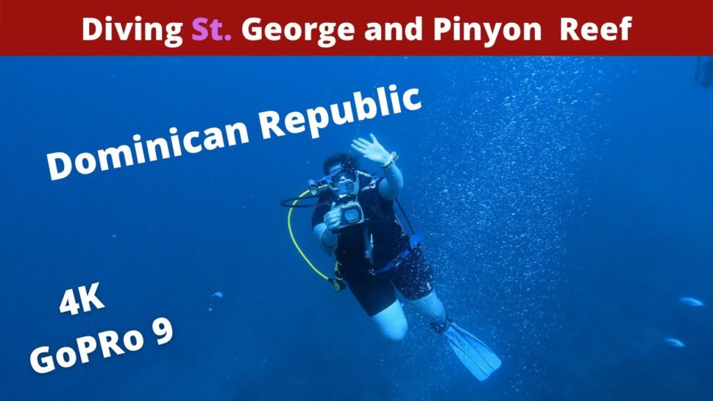 Ep 5 | This is Why You Should Dive in the Dominican Republic | Caribbean side of the island Ep 5 | This is Why You Should Dive in the Dominican Republic | Caribbean side of the island