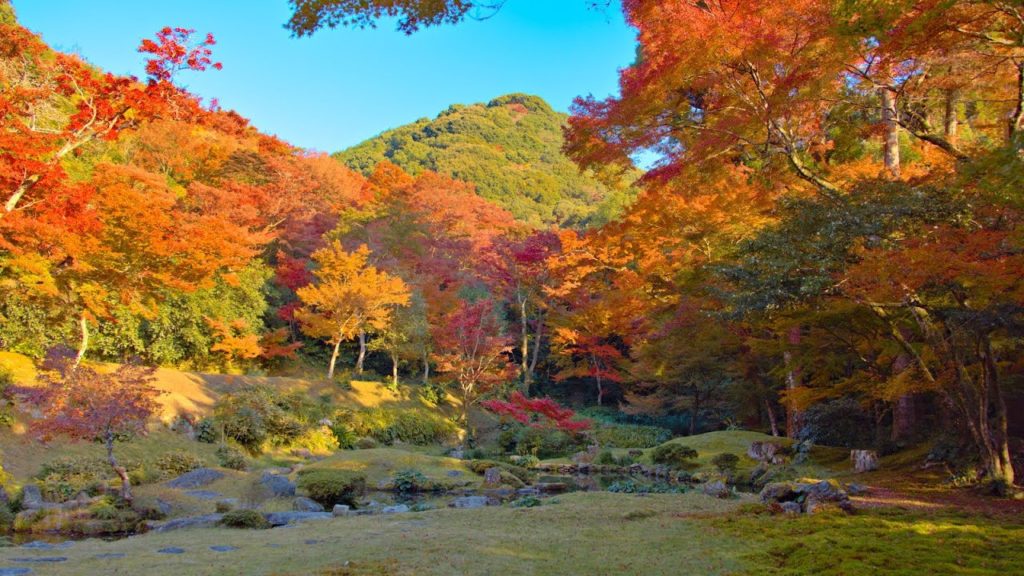 8K HDR 福岡 みやま清水寺の紅葉(名勝)