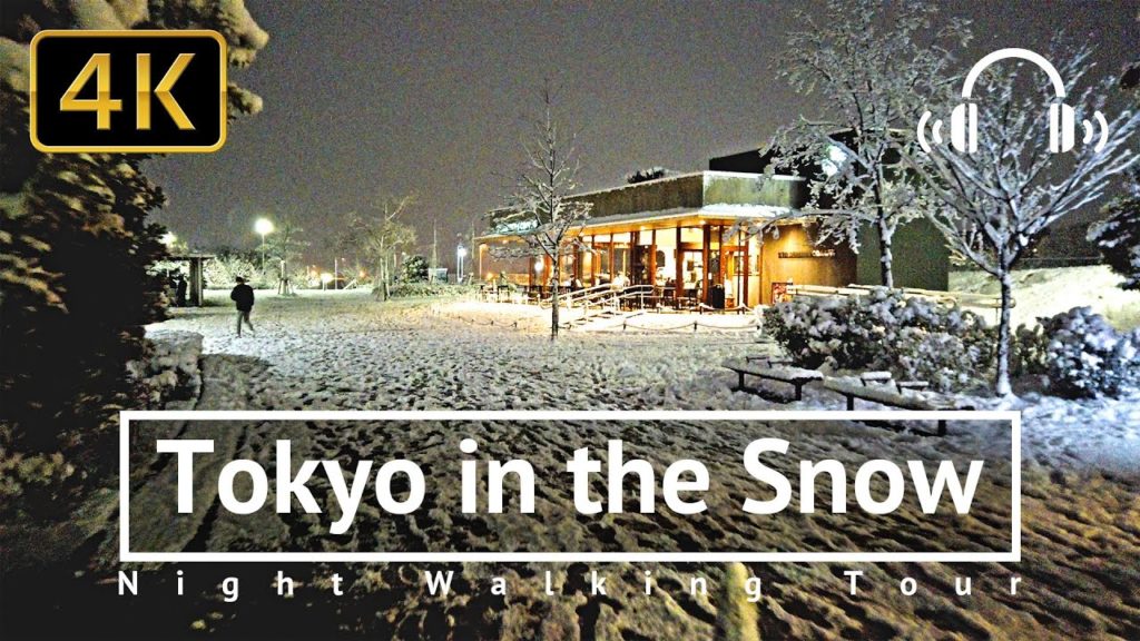 Tokyo in the Snow Night Walking Tour - Tokyo Japan [4K/Binaural]