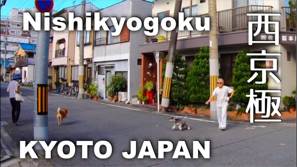 Kyoto, Nishikyogoku - From Nishikyogoku Athletic Park through Station to Residential Area [4K] POV