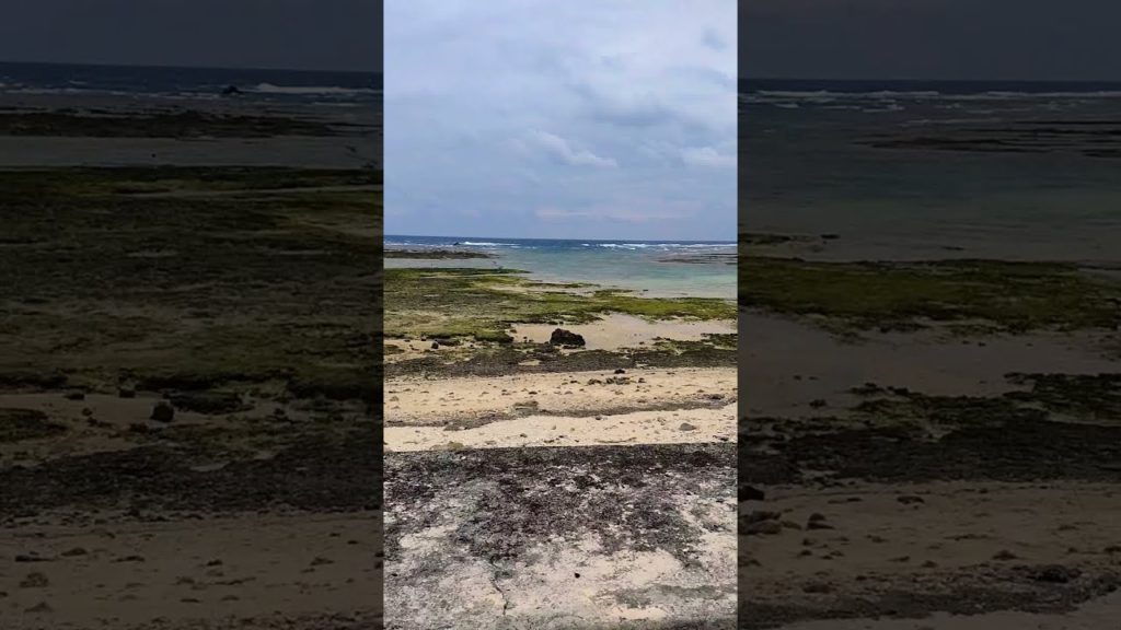 Okinawa Beach Side Walk | 沖縄海岸沿い散歩 Okinawa Beach Side Walk | 沖縄海岸沿い散歩