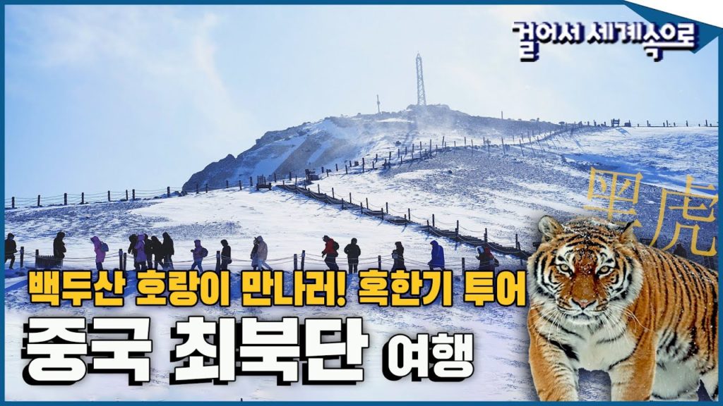 흑호랑이의 해 2022! 백두산 호랑이🐯 만나러, 영하 28도 혹한기 '중국 최북단 헤이룽장성' 여행 (feat.뚱랑이천국) Trip to China (KBS_20210213) 흑호랑이의 해 2022! 백두산 호랑이🐯 만나러, 영하 28도 혹한기 '중국 최북단 헤이룽장성' 여행 (feat.뚱랑이천국) Trip to China (KBS_20210213)