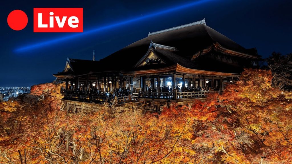 Japan LIVE – Shooting Star Autumn Illumination – Kyoto 1440p Japan LIVE - Shooting Star Autumn Illumination - Kyoto 1440p