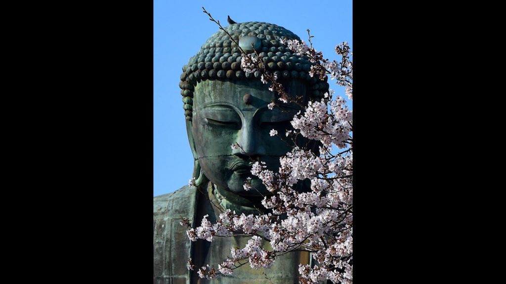Japan Travel: Hiking to Buddha - Kamakura Daibutsu Hiking Trail in Cherry Blossom Season