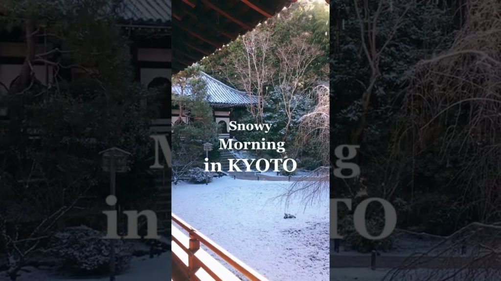 Kyoto in winter, winter snow is beautiful no matter where you look - Travel to Japan #Shorts