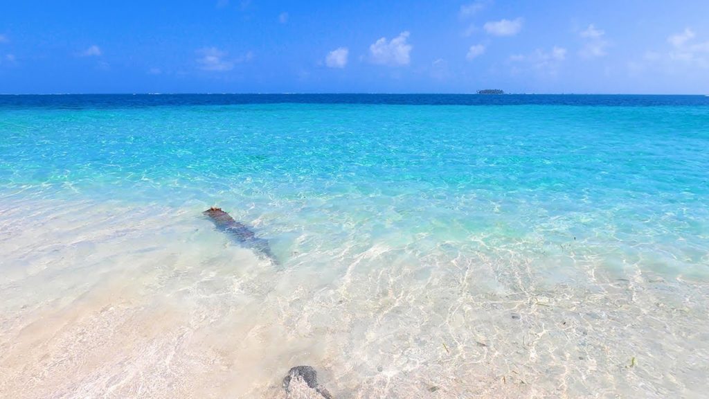 Paradise Island: 3 Hours of Blue Water Tranquility & Gentle Wave Sounds (4K) Paradise Island: 3 Hours of Blue Water Tranquility & Gentle Wave Sounds (4K)