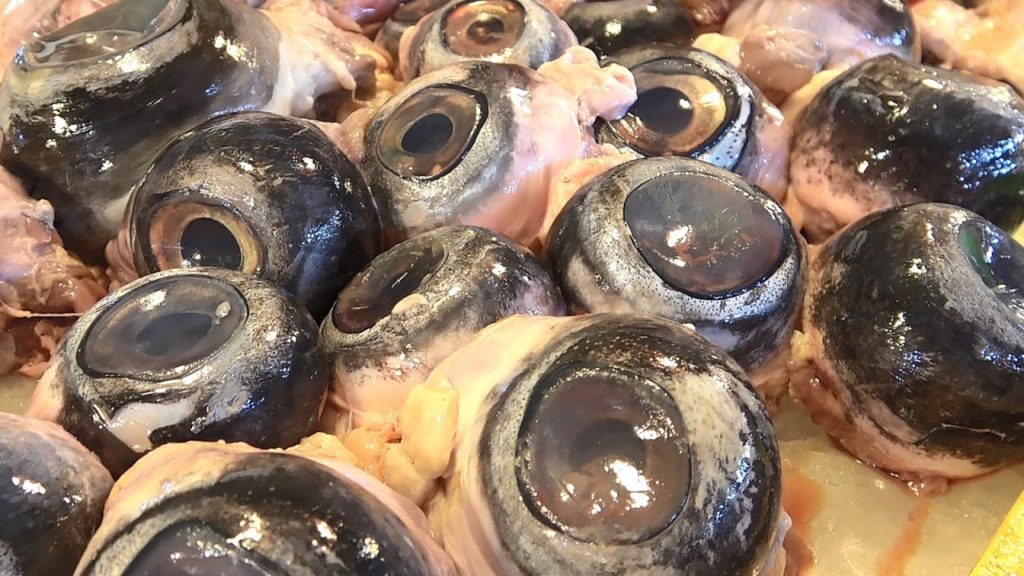 Most weird food in the world | Giant bluefin tuna‘s big eyeballs -Asia's SCARIEST Meat Market!
