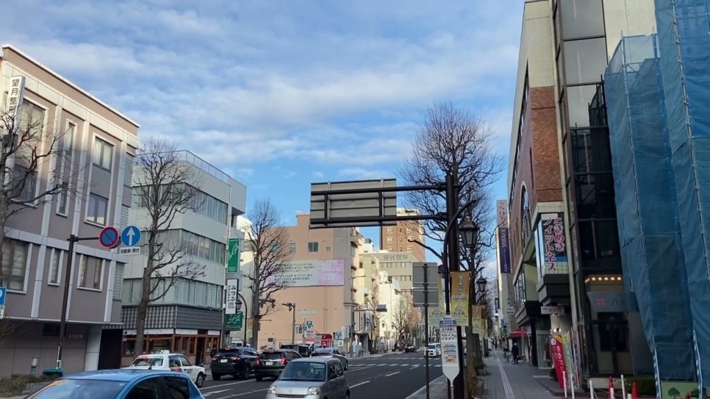 Matsumoto Station : Main Street, City View (Japan) [Free Video Footage] [Daily: Landscape]