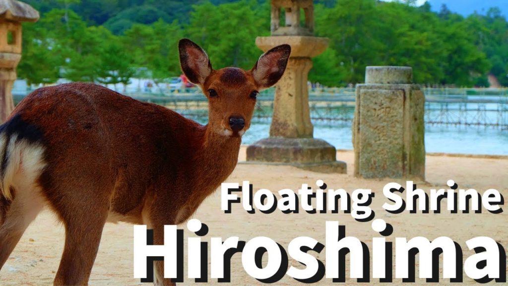 【Hiroshima/Miyajima】Walking at Itsukushima Shrine（World Heritage site, ferry boat, Oyster etc）