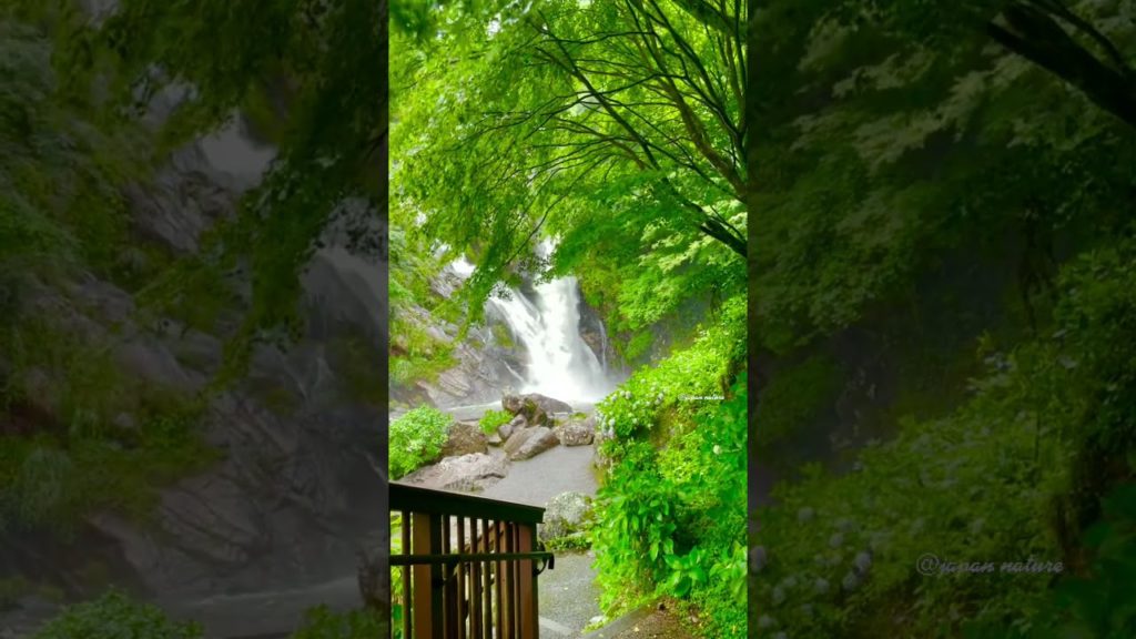 Japan's Nature!!  Most Beautiful Places In The World #Travel #Vacation #holidays #shorts,