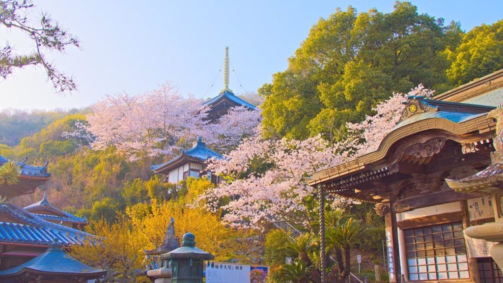 8K HDR 徳島 切幡寺 四国遍路10番札所(重文) Tokushima, Kirihataji, Shikoku88 Pilgrimage No.10 (Cultural Property)