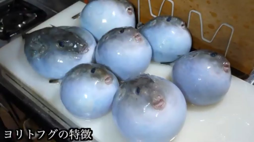 seafood japan street food || foods world pk II seafood japan street food || foods world pk II