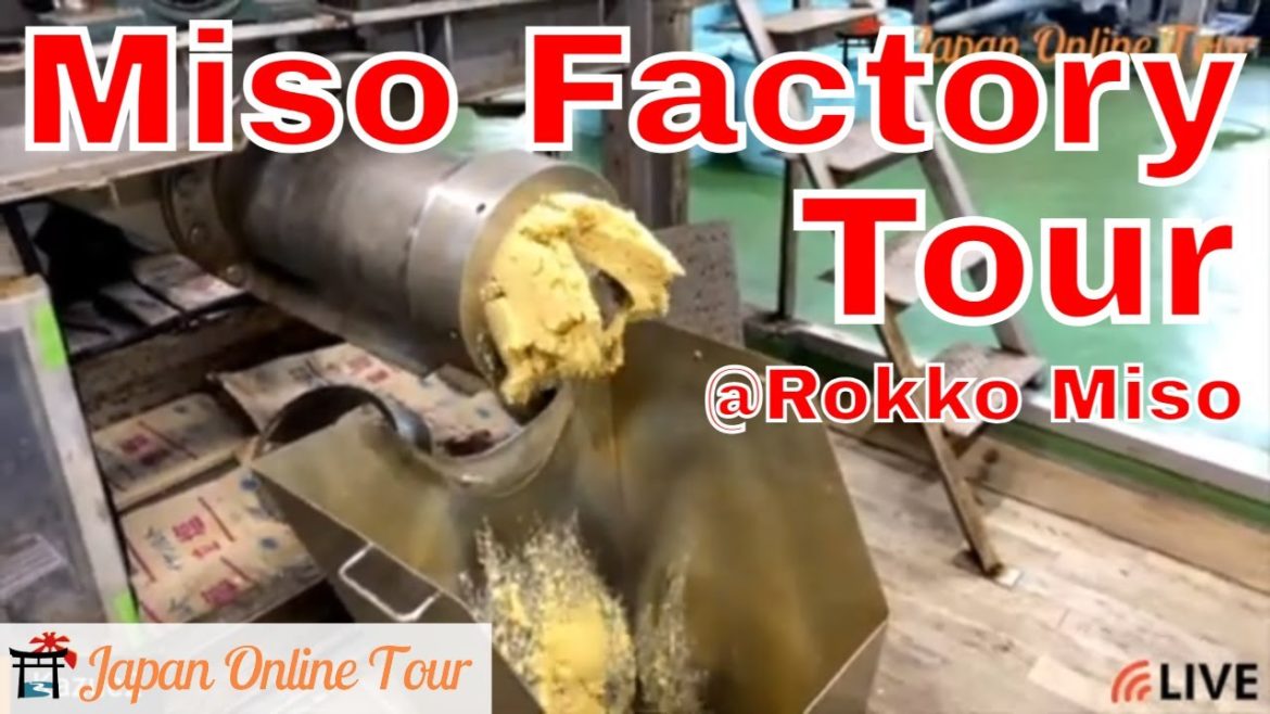 Japanese Superfood: Miso factory tour! ~Learn how Miso is made【Japan Online Tour】| みそ工場見学ツアー Japanese Superfood: Miso factory tour! ~Learn how Miso is made【Japan Online Tour】| みそ工場見学ツアー