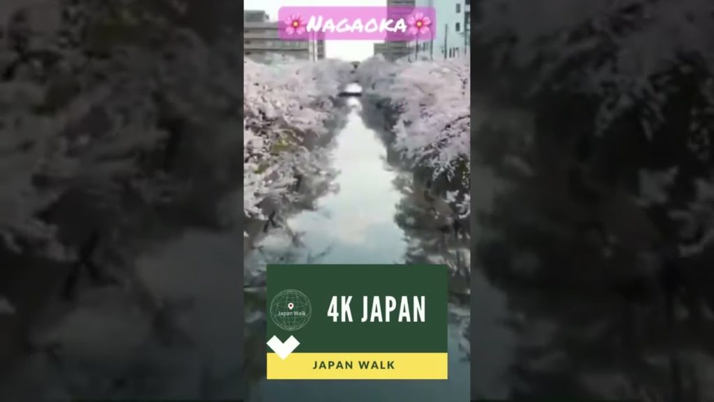 4K Japan Walk -  NIIGATA NAGAOKA Neighborhood Walking Tour | 新潟長岡 2021