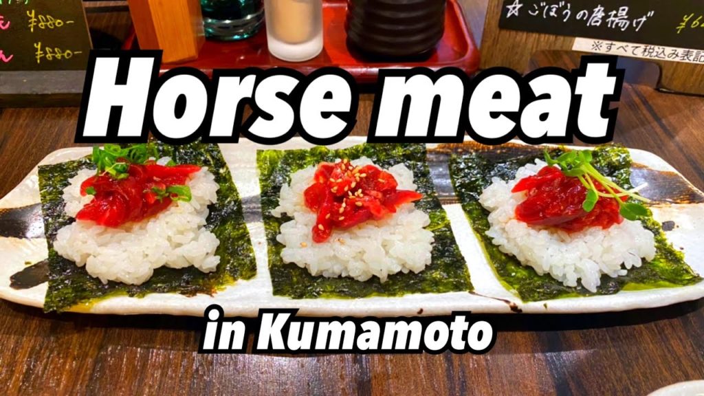 EATING HORSE MEAT🐴 | Kumamoto Castle | Japanese Solo Travel | Tonkatsu EATING HORSE MEAT🐴 | Kumamoto Castle | Japanese Solo Travel | Tonkatsu