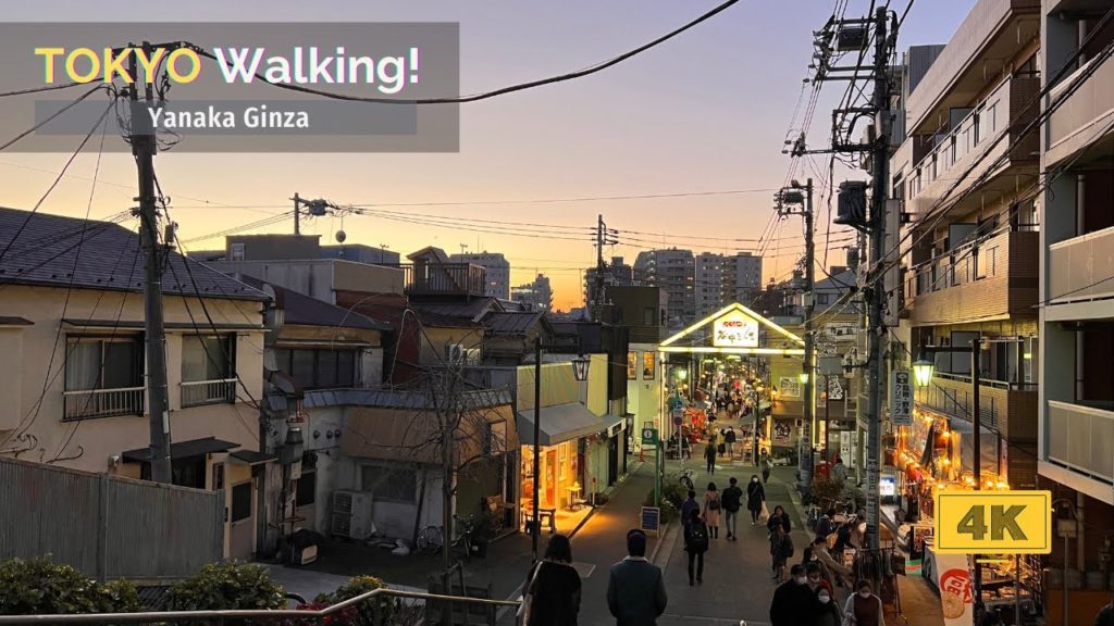 【4K/60fps】Tokyo Walk Tour in Yanaka Jan, 2021!