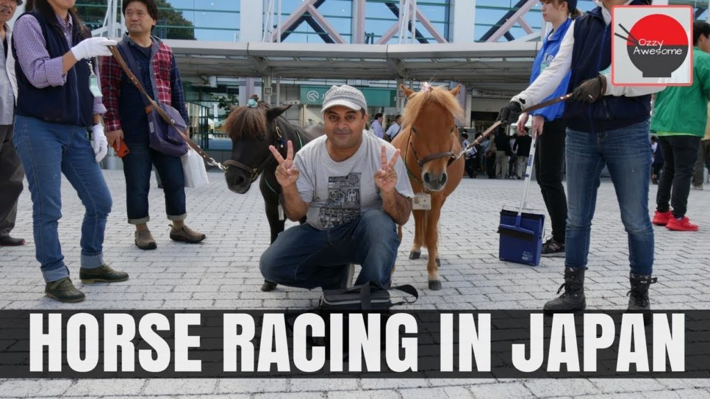 I went to a Japanese Horse Race!