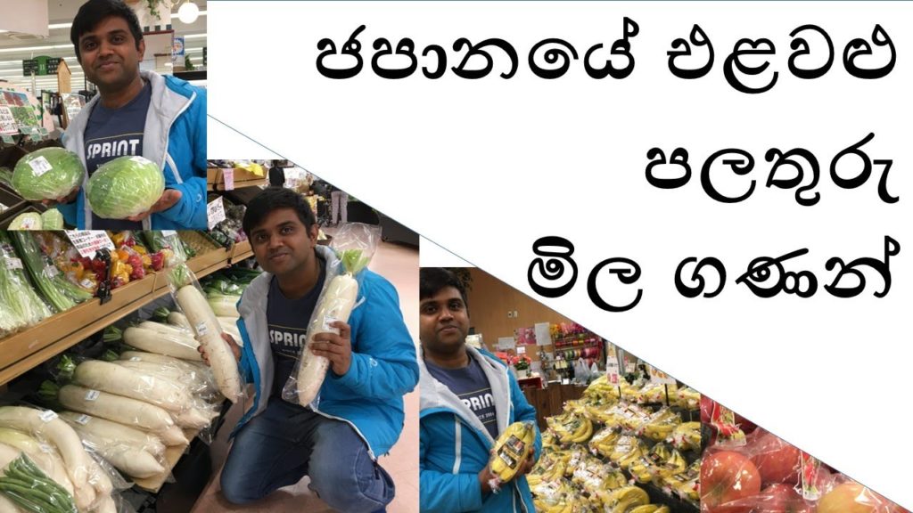Japan fruit and vegetable price- ජපානයේ එලවළු  පලතුරු  මිල ගණන්-