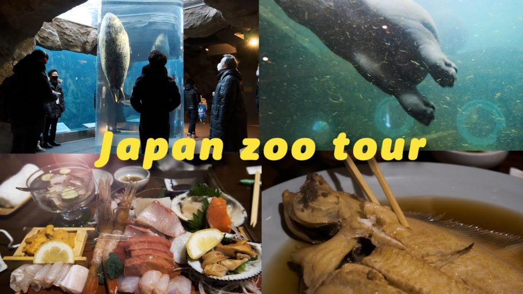 [Tokyo Housewife] Vanilla day in Asahiyama Zoo | Hokkaido Travel #1