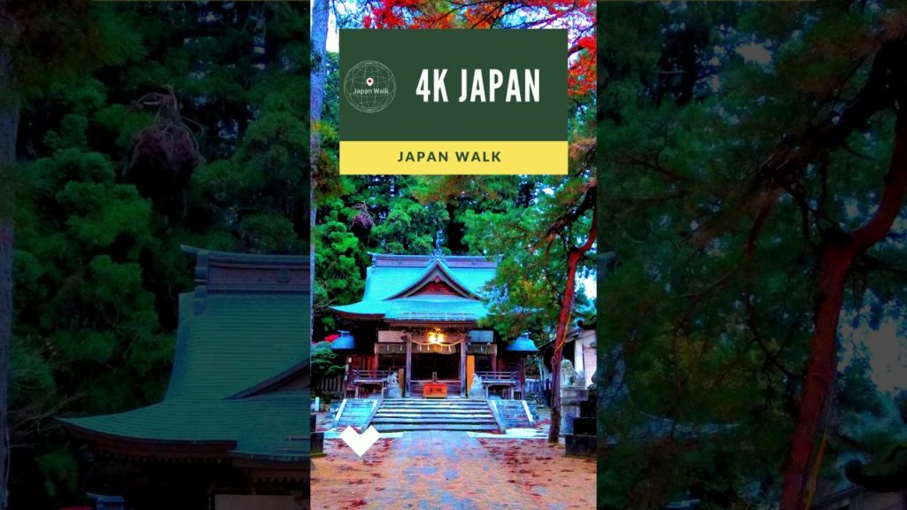 4K Japan Walk -  NIIGATA Ojiya Neighborhood Walking Tour | 新潟小千谷 2021