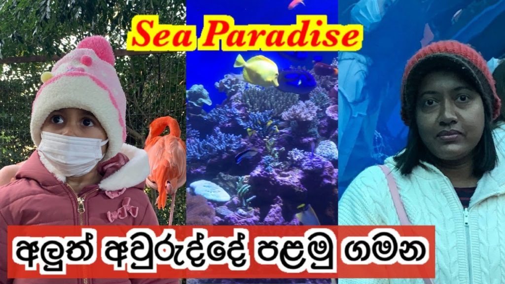 Yokohama Hakkeijima Sea Paradise | Life in Japan @Center Life