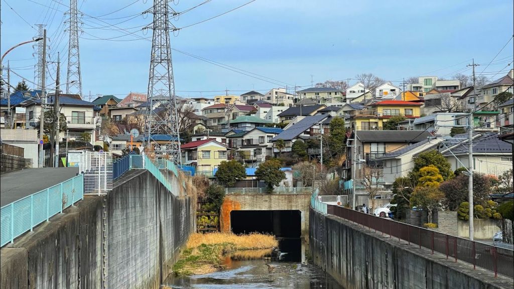 Live Kawasaki Local Streets Walk