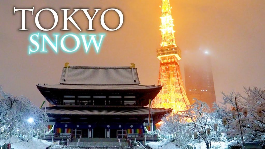 【4K Snowfall】Heavy snow warning issued in downtown TOKYO. 東京で大雪警報 #4K #TokyoSnow