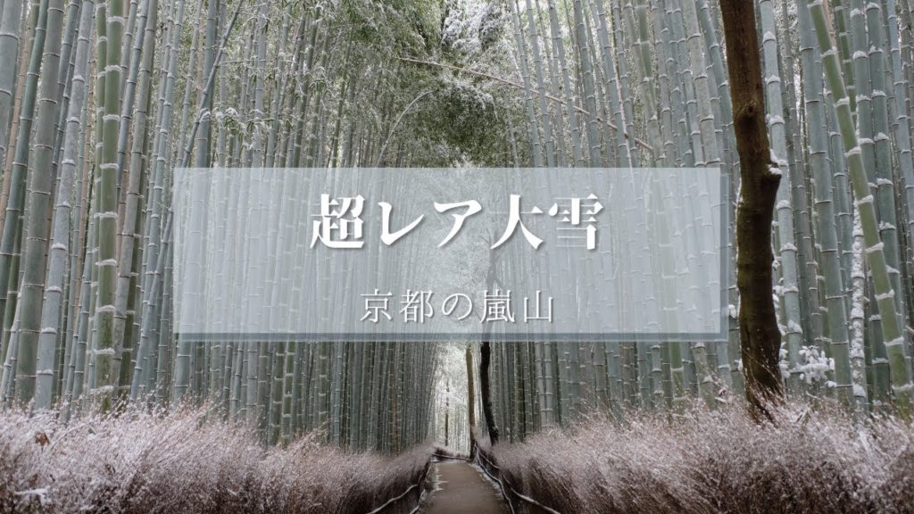 Super Rare Heavy Snow in Kyoto (Arashiyama)