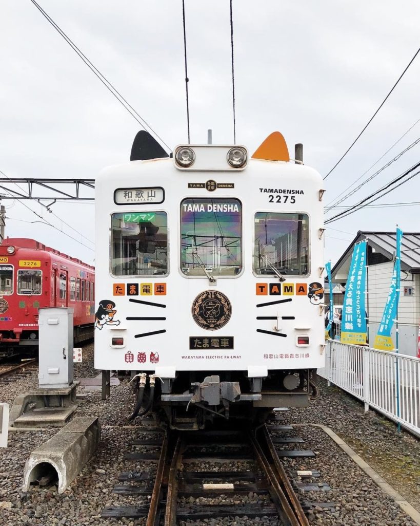 Visit Japan: Introducing Tama-den, a train named in honour of a famous calico cat who revived… Introducing Tama-den, a train named in honour of a famous calico cat who revived...