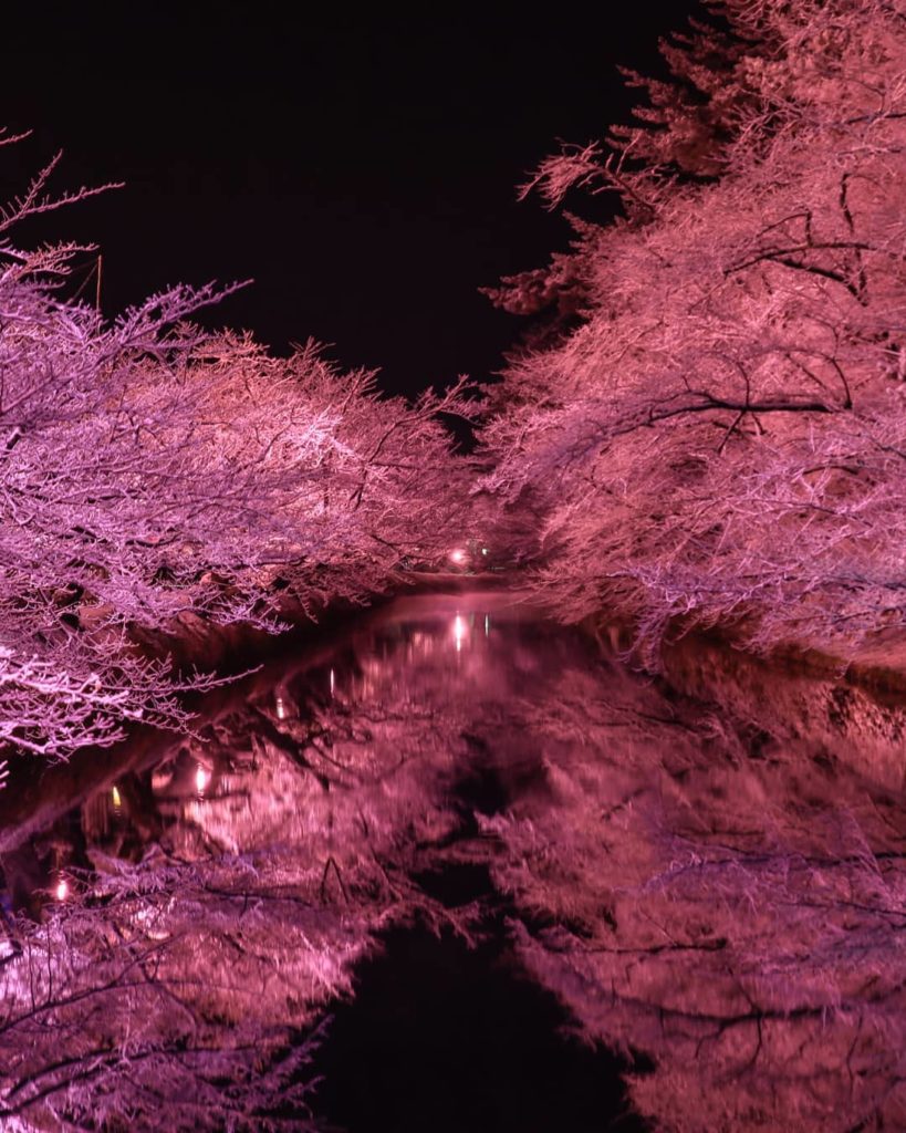 Visit Japan: Don’t like the cold? With views like this, you might change your mind! From Dec… Don't like the cold? With views like this, you might change your mind! From Dec...