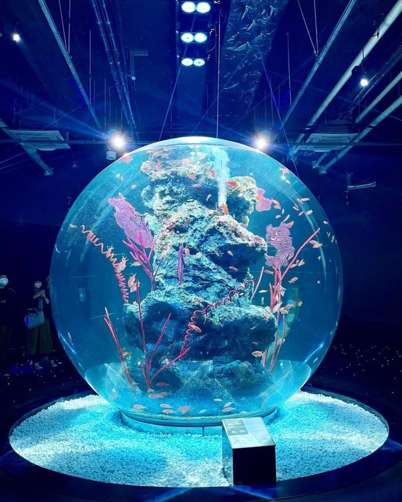 Visit Japan: There’s a new, unlikely duo in town and they’re turning heads for all the right … There's a new, unlikely duo in town and they're turning heads for all the right ...