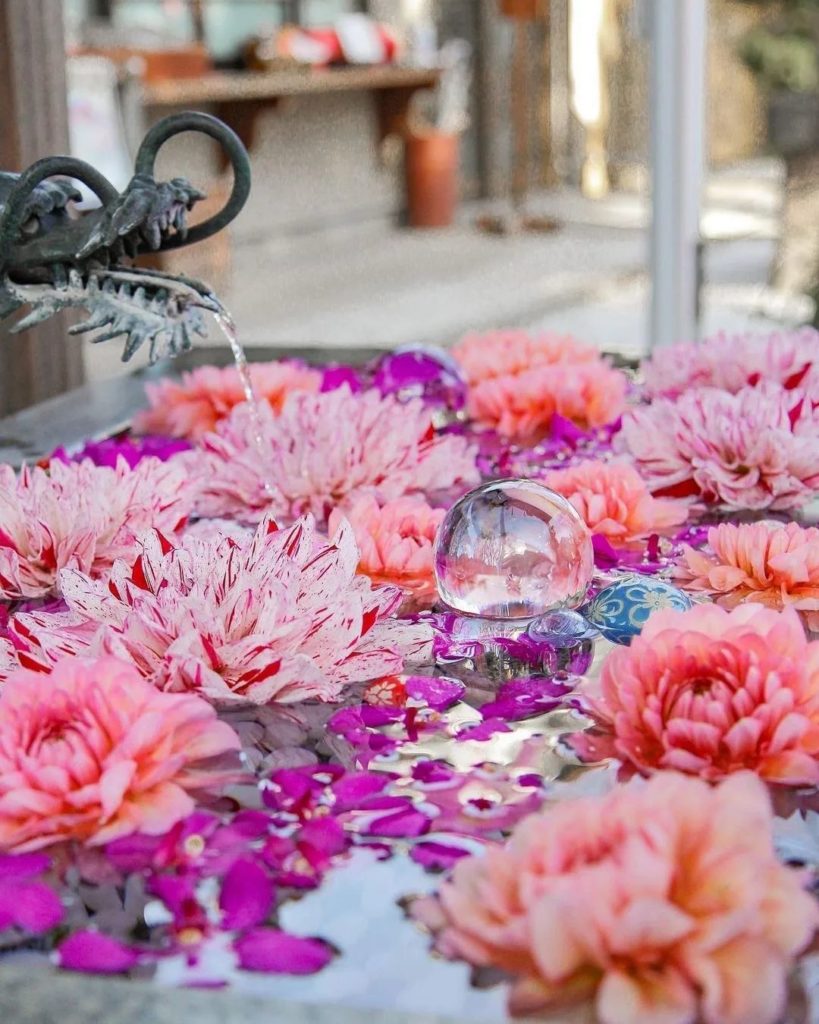 Japan Travel: It’s always nice to see pops of color during the winter season, and Tokyo’s Kami… It's always nice to see pops of color during the winter season, and Tokyo's Kami...