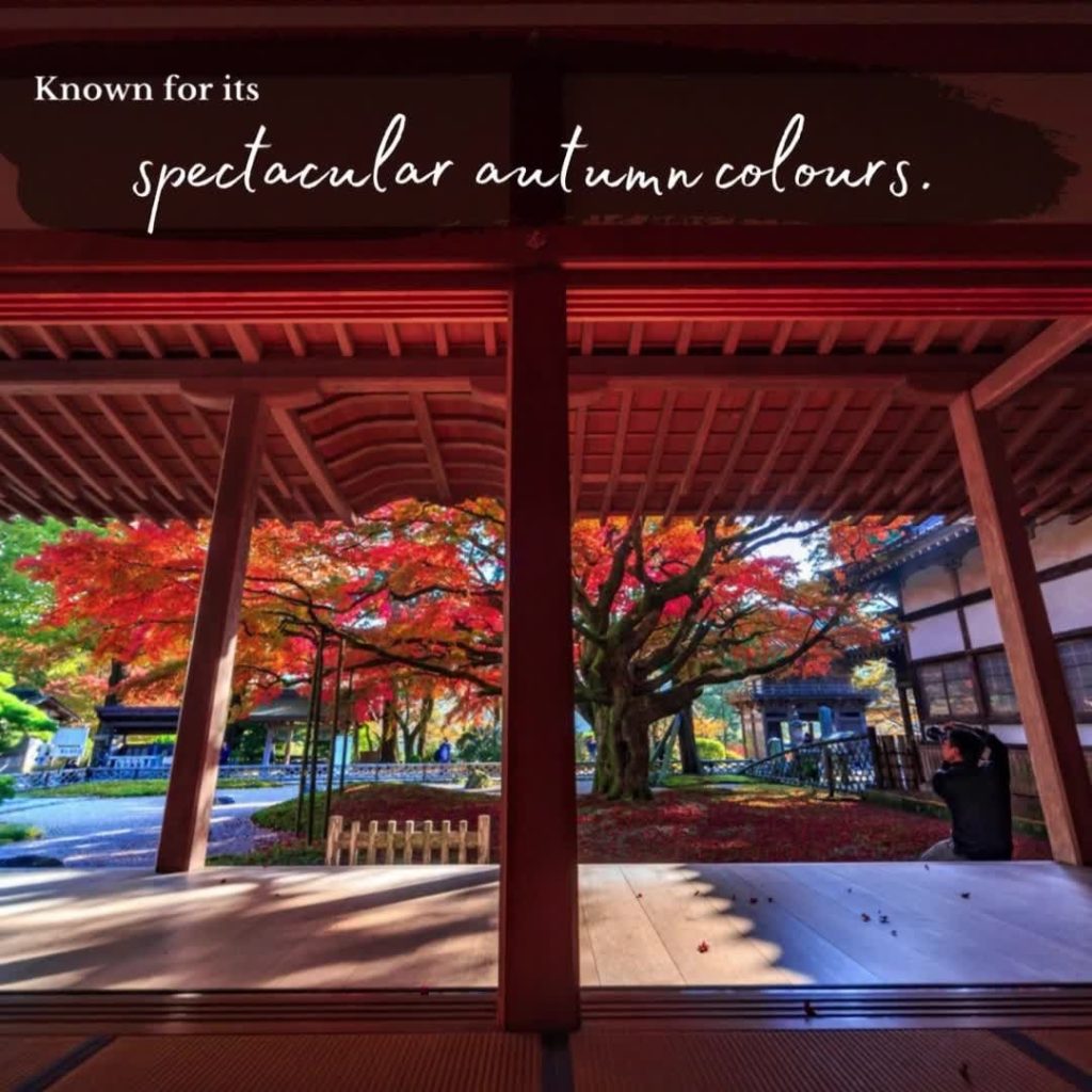 Located on Japan’s southern island of Kyushu, Fukuoka Prefecture offers a fascin...